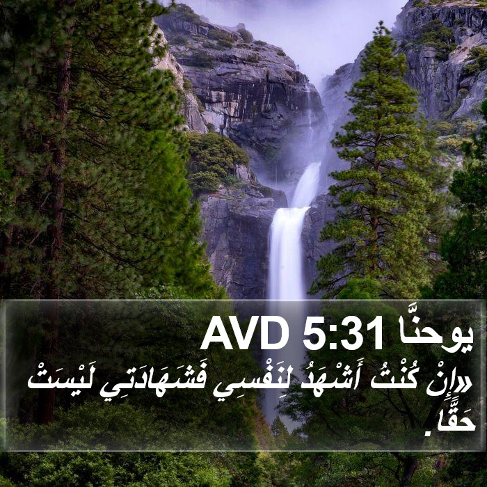 يوحنَّا 5:31 AVD Bible Study