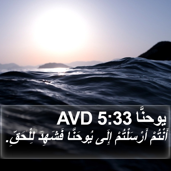 يوحنَّا 5:33 AVD Bible Study