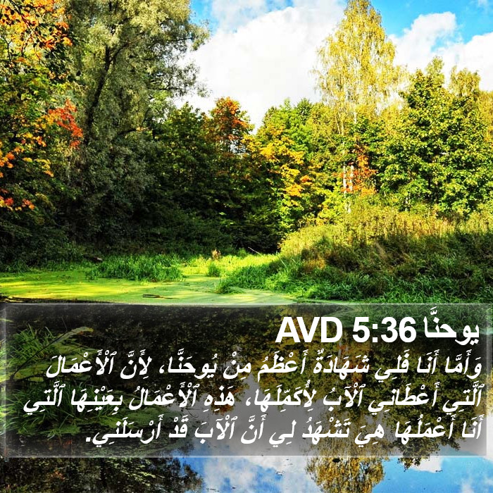 يوحنَّا 5:36 AVD Bible Study