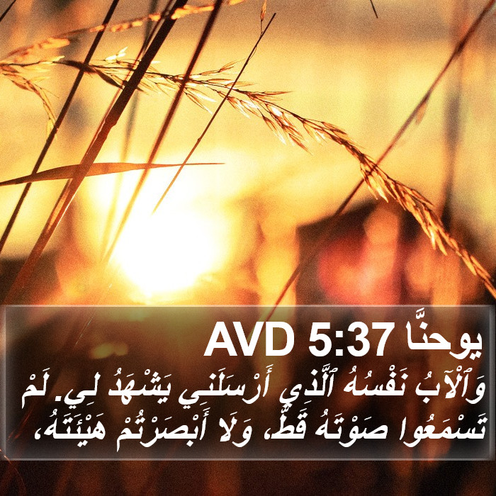 يوحنَّا 5:37 AVD Bible Study