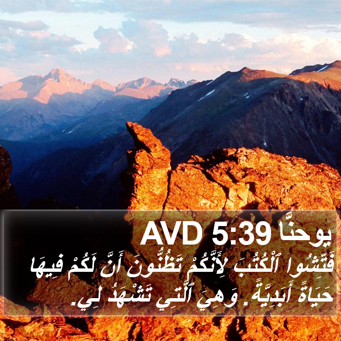 يوحنَّا 5:39 AVD Bible Study