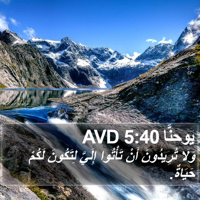 يوحنَّا 5:40 AVD Bible Study