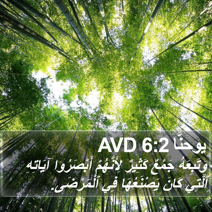 يوحنَّا 6:2 AVD Bible Study