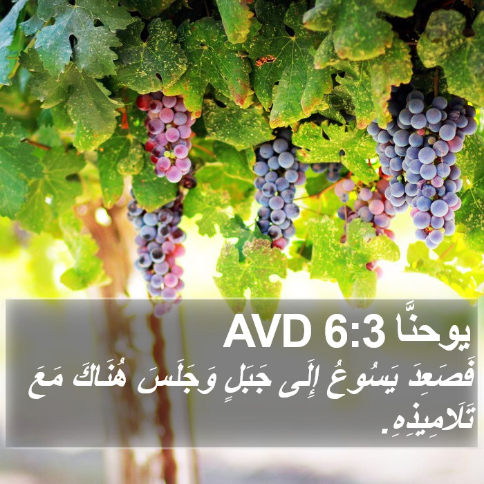 يوحنَّا 6:3 AVD Bible Study