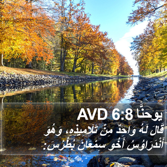 يوحنَّا 6:8 AVD Bible Study