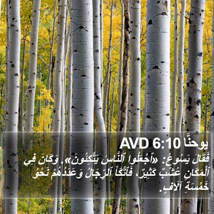 يوحنَّا 6:10 AVD Bible Study