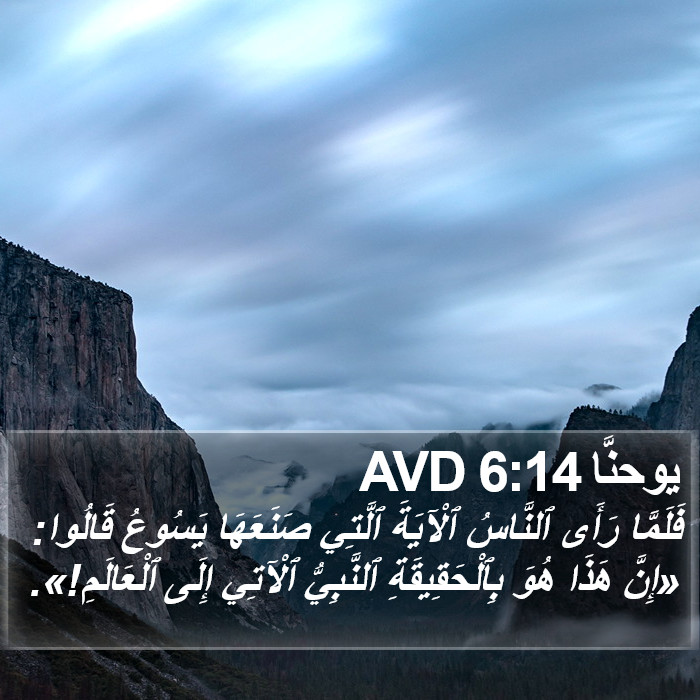 يوحنَّا 6:14 AVD Bible Study