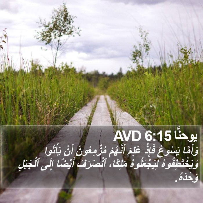 يوحنَّا 6:15 AVD Bible Study