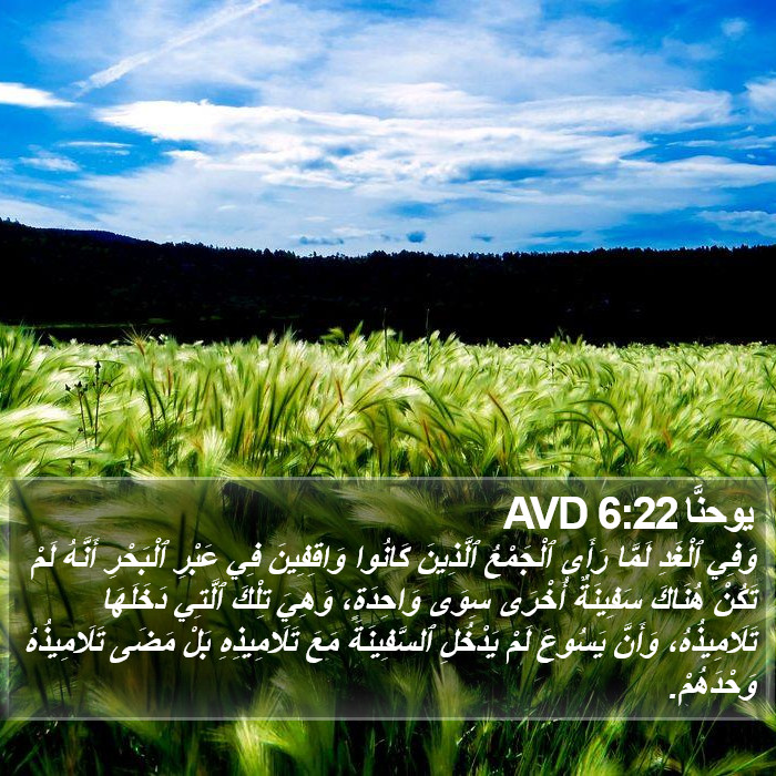 يوحنَّا 6:22 AVD Bible Study