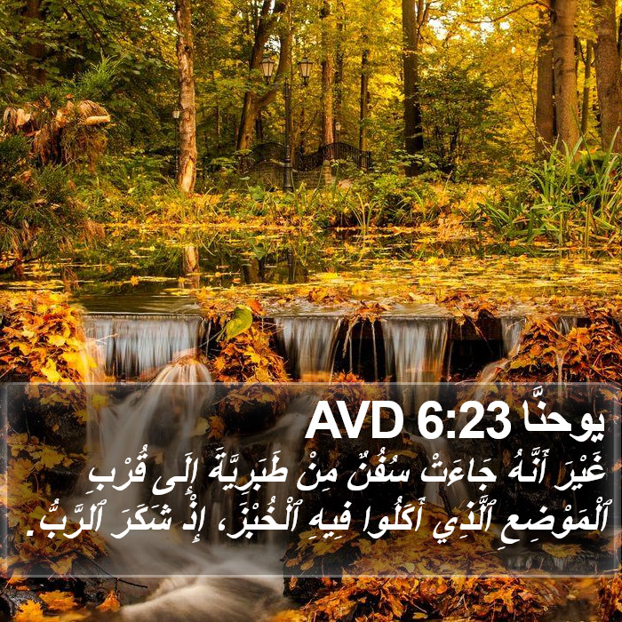 يوحنَّا 6:23 AVD Bible Study