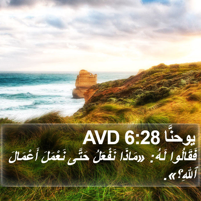 يوحنَّا 6:28 AVD Bible Study