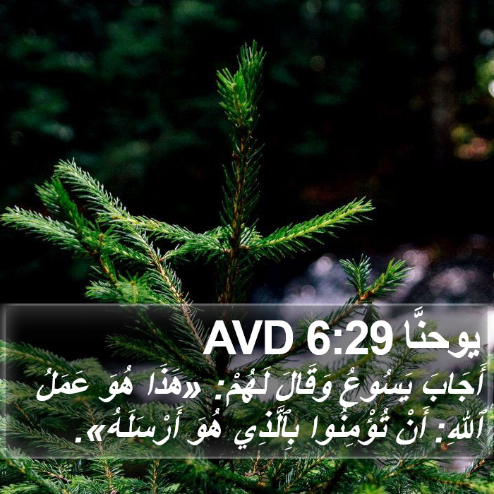 يوحنَّا 6:29 AVD Bible Study