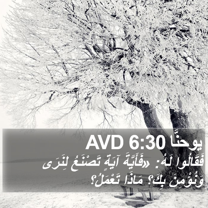 يوحنَّا 6:30 AVD Bible Study