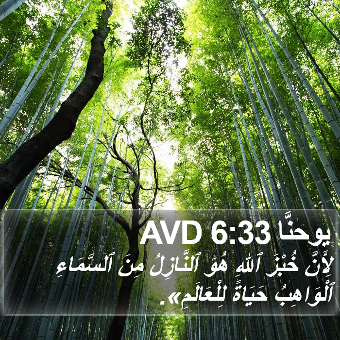 يوحنَّا 6:33 AVD Bible Study