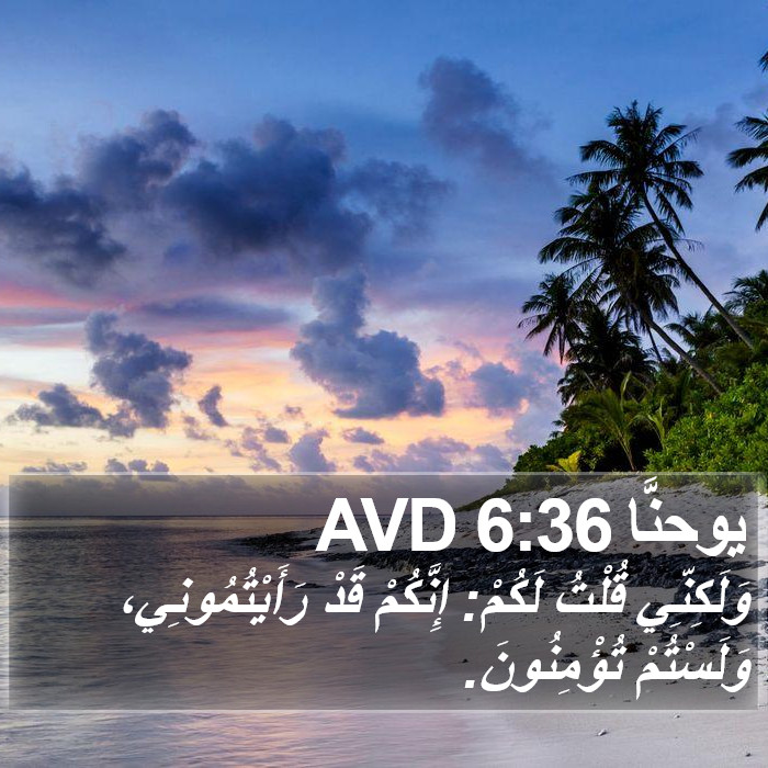 يوحنَّا 6:36 AVD Bible Study