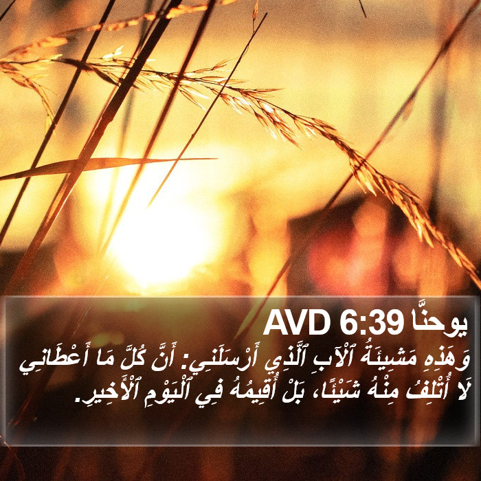 يوحنَّا 6:39 AVD Bible Study