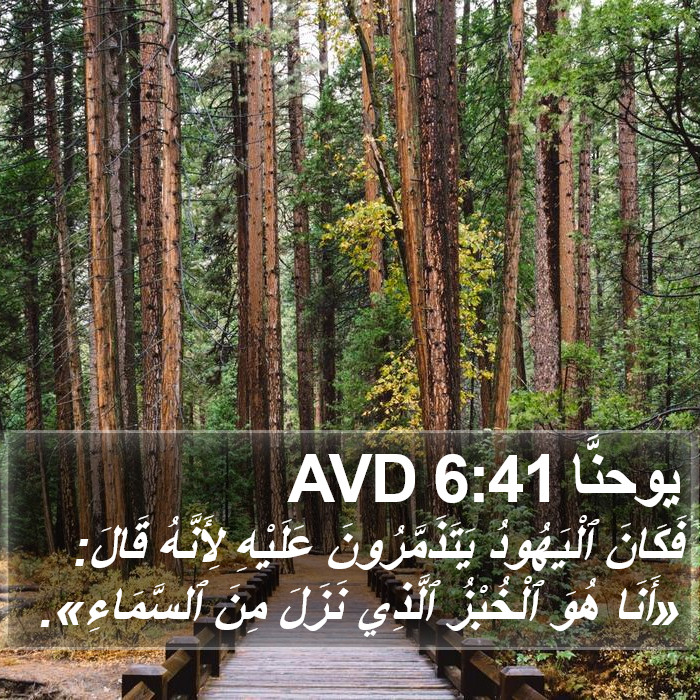 يوحنَّا 6:41 AVD Bible Study