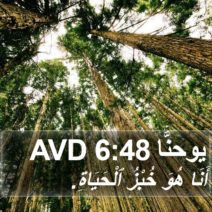 يوحنَّا 6:48 AVD Bible Study