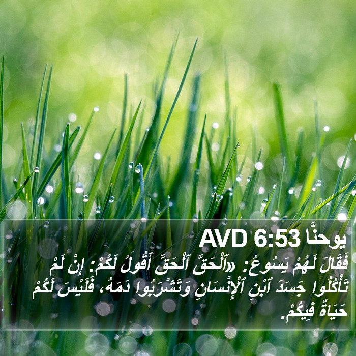 يوحنَّا 6:53 AVD Bible Study