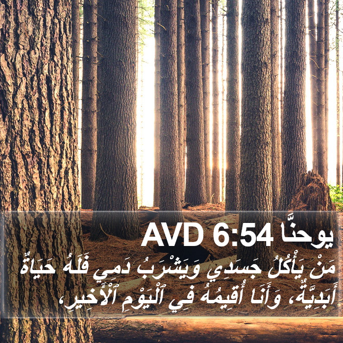 يوحنَّا 6:54 AVD Bible Study