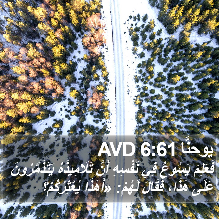 يوحنَّا 6:61 AVD Bible Study