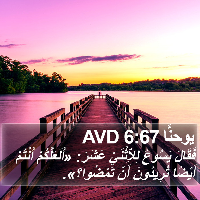 يوحنَّا 6:67 AVD Bible Study