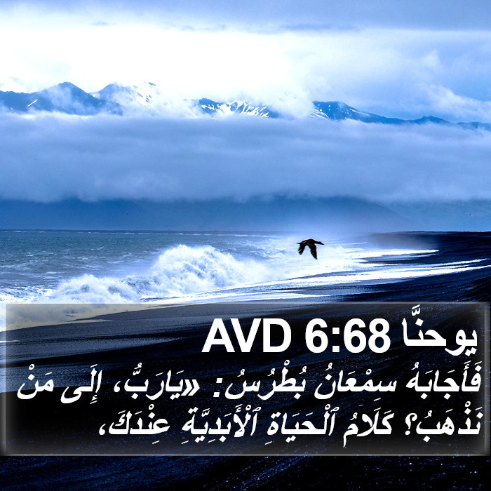 يوحنَّا 6:68 AVD Bible Study