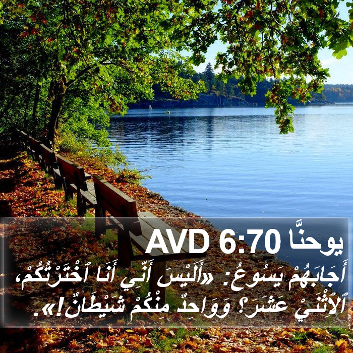 يوحنَّا 6:70 AVD Bible Study