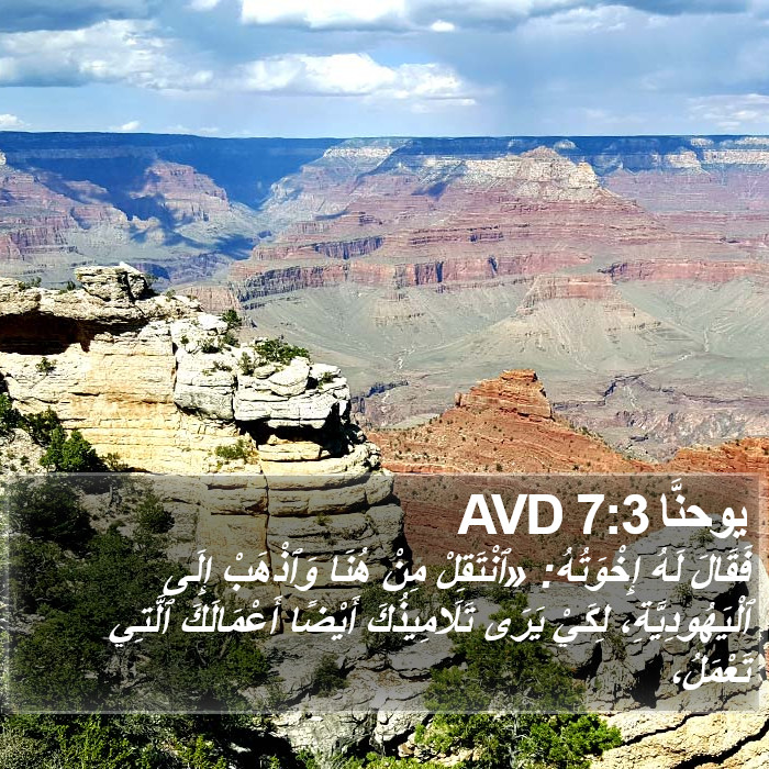 يوحنَّا 7:3 AVD Bible Study