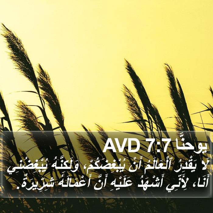 يوحنَّا 7:7 AVD Bible Study