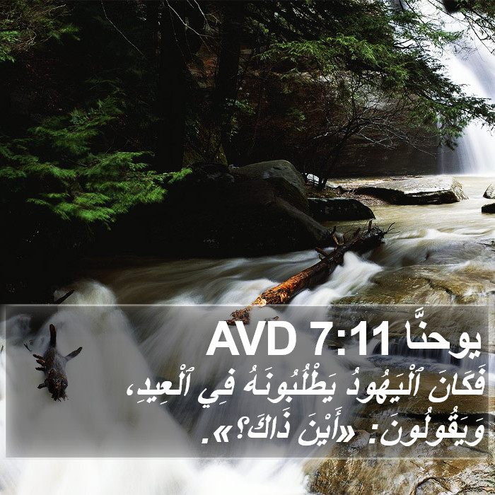 يوحنَّا 7:11 AVD Bible Study