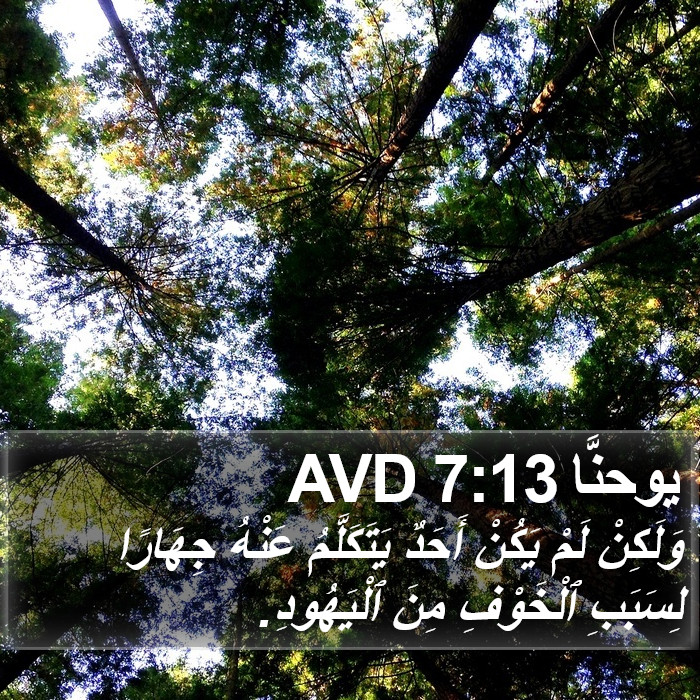 يوحنَّا 7:13 AVD Bible Study