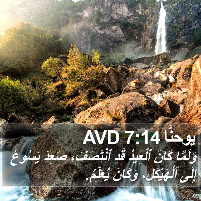 يوحنَّا 7:14 AVD Bible Study