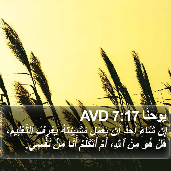 يوحنَّا 7:17 AVD Bible Study