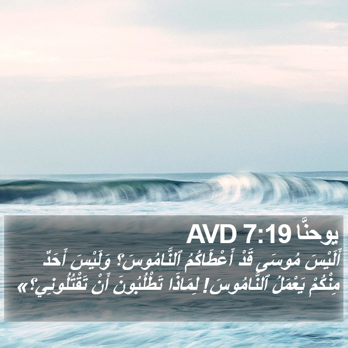 يوحنَّا 7:19 AVD Bible Study