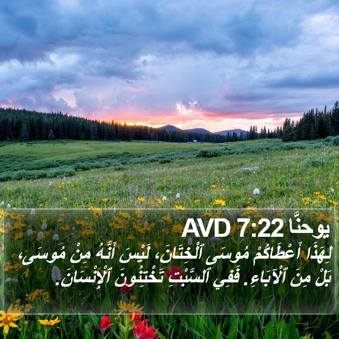 يوحنَّا 7:22 AVD Bible Study