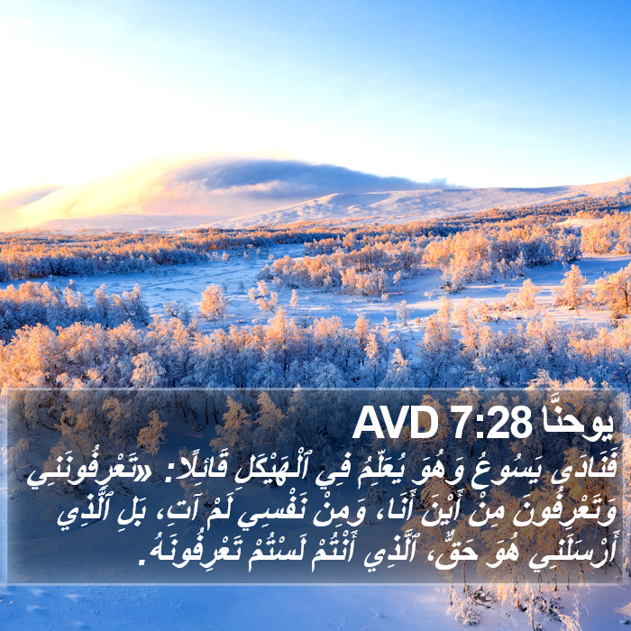 يوحنَّا 7:28 AVD Bible Study