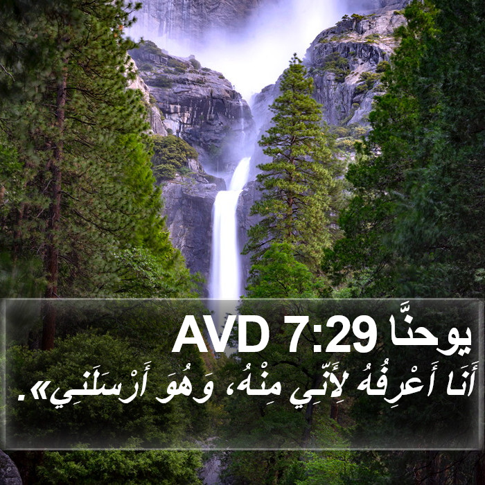 يوحنَّا 7:29 AVD Bible Study