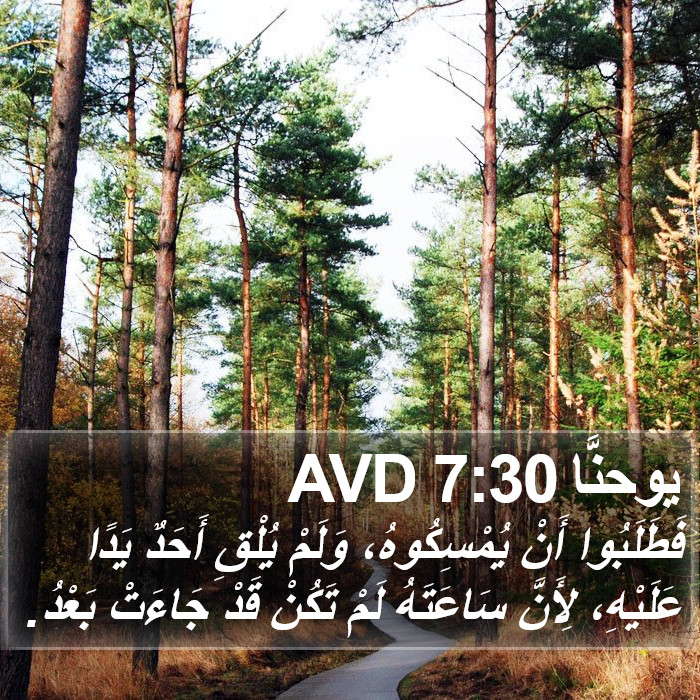 يوحنَّا 7:30 AVD Bible Study