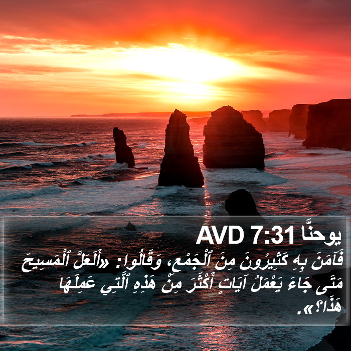 يوحنَّا 7:31 AVD Bible Study