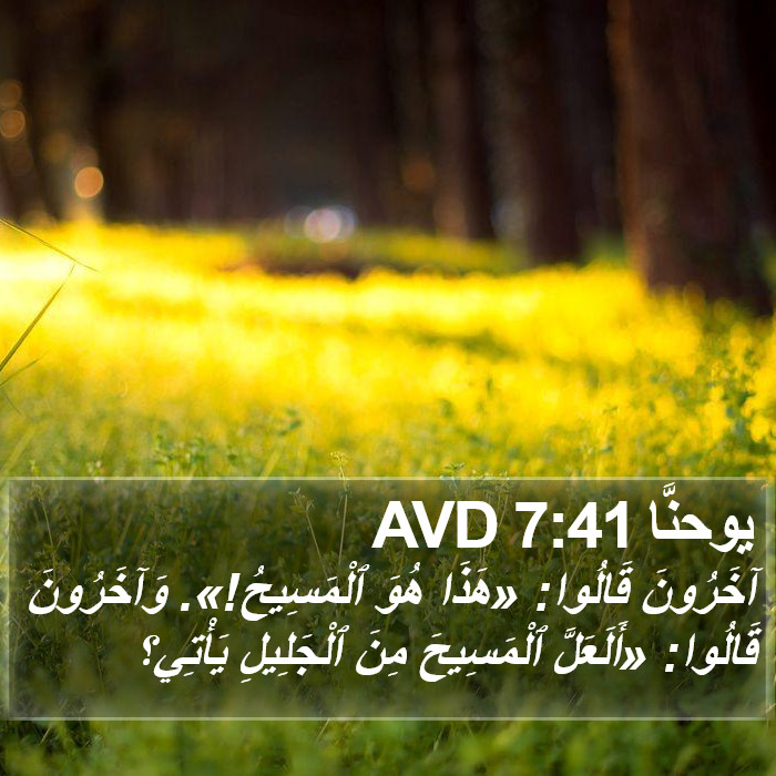 يوحنَّا 7:41 AVD Bible Study