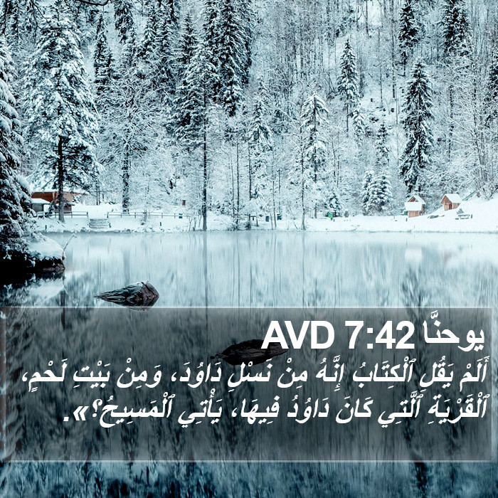 يوحنَّا 7:42 AVD Bible Study