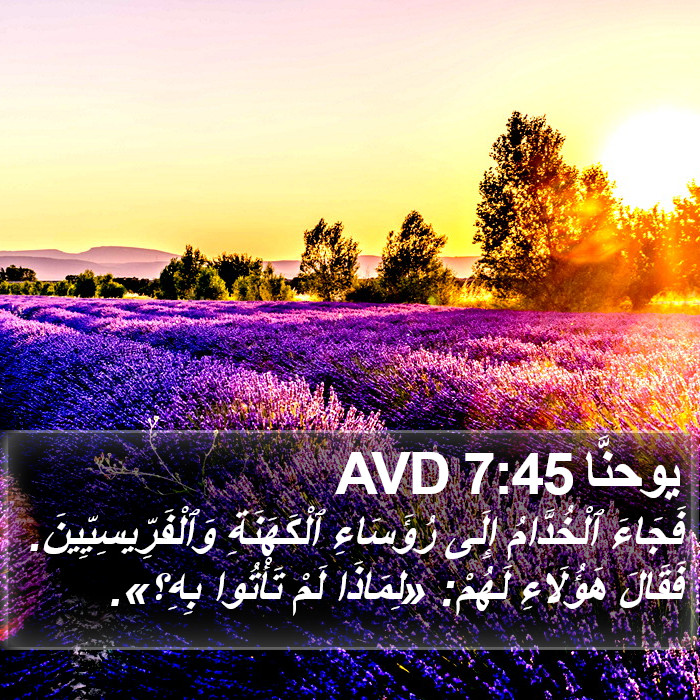 يوحنَّا 7:45 AVD Bible Study