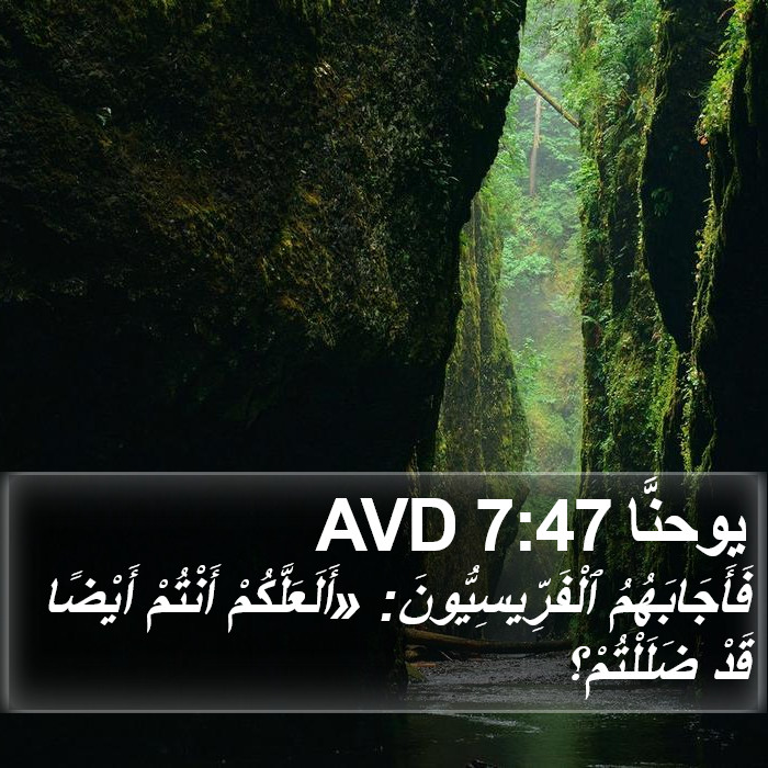 يوحنَّا 7:47 AVD Bible Study