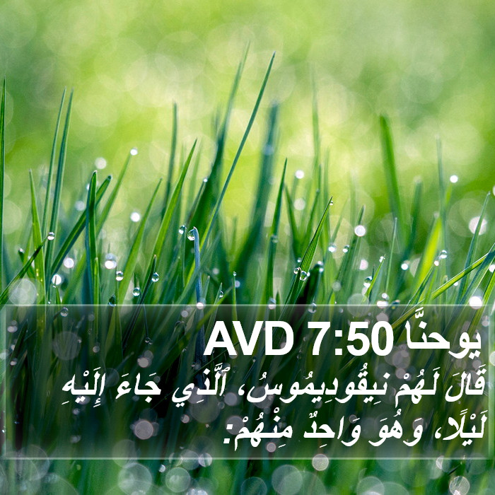 يوحنَّا 7:50 AVD Bible Study