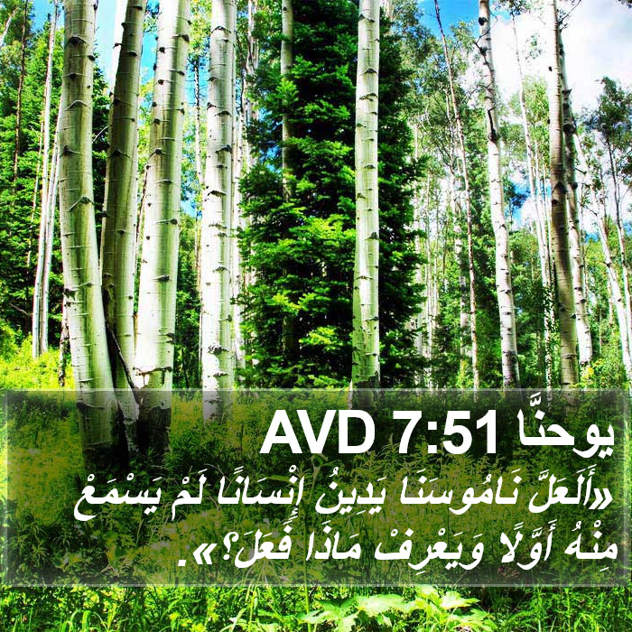 يوحنَّا 7:51 AVD Bible Study