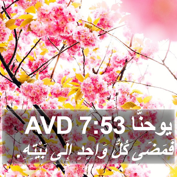 يوحنَّا 7:53 AVD Bible Study