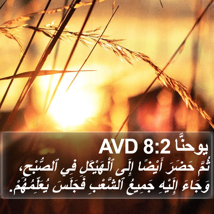 يوحنَّا 8:2 AVD Bible Study