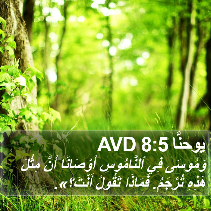 يوحنَّا 8:5 AVD Bible Study