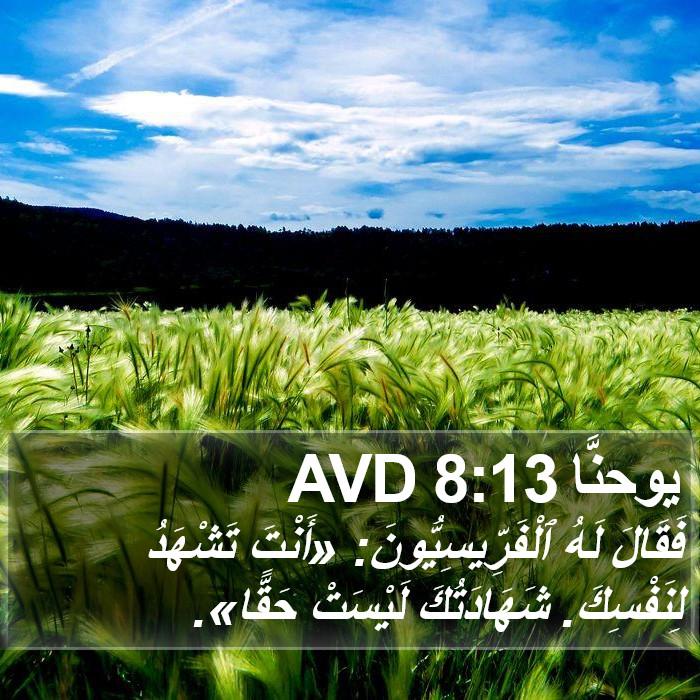 يوحنَّا 8:13 AVD Bible Study